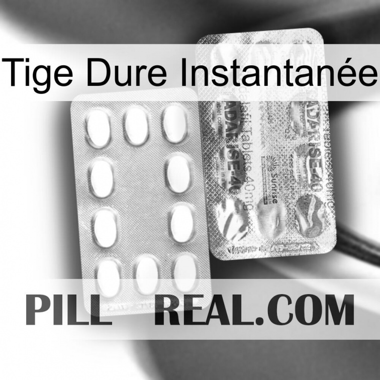 Tige Dure Instantanée new12